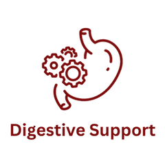 Collection image for: Digestion Support