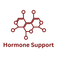 Collection image for: Hormone Support