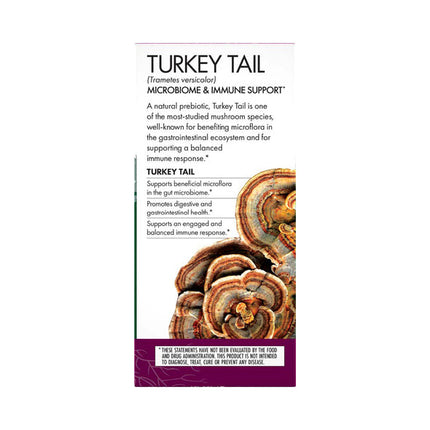 Turkey Tail Capsules