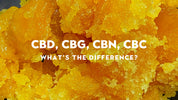 CBD, CBG, and CBN — What’s the difference?