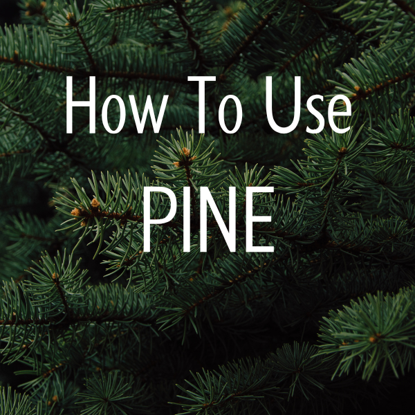 Best way to use Pine essential oils