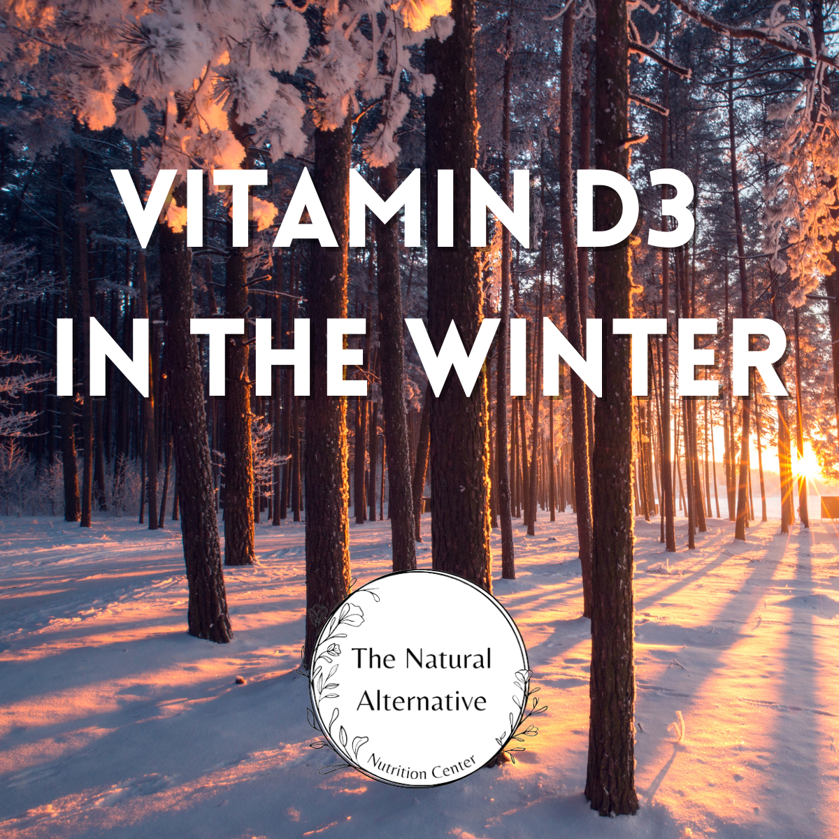 How Can D3 Help During The Winter?