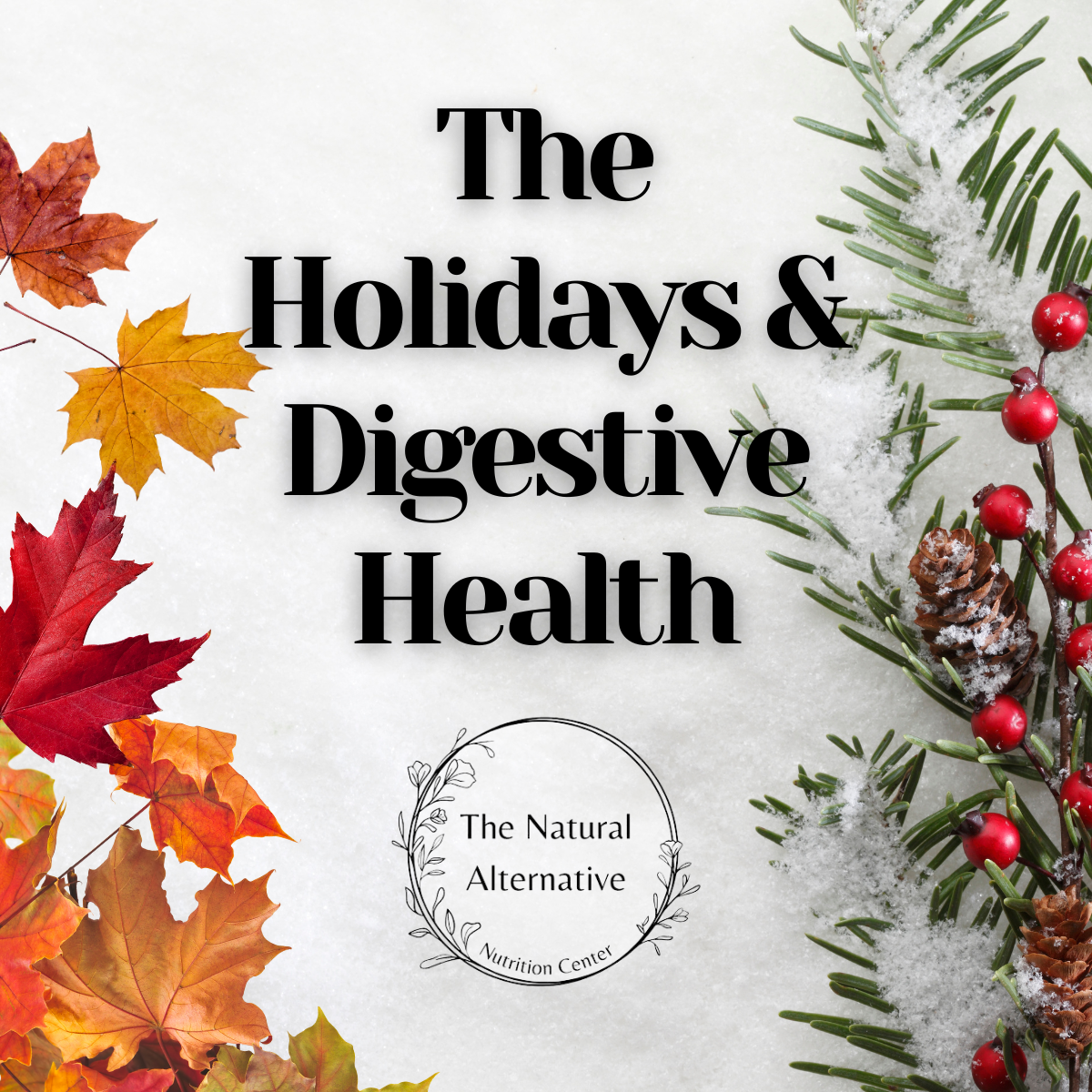 Prioritizing Digestive Health This Holiday Season