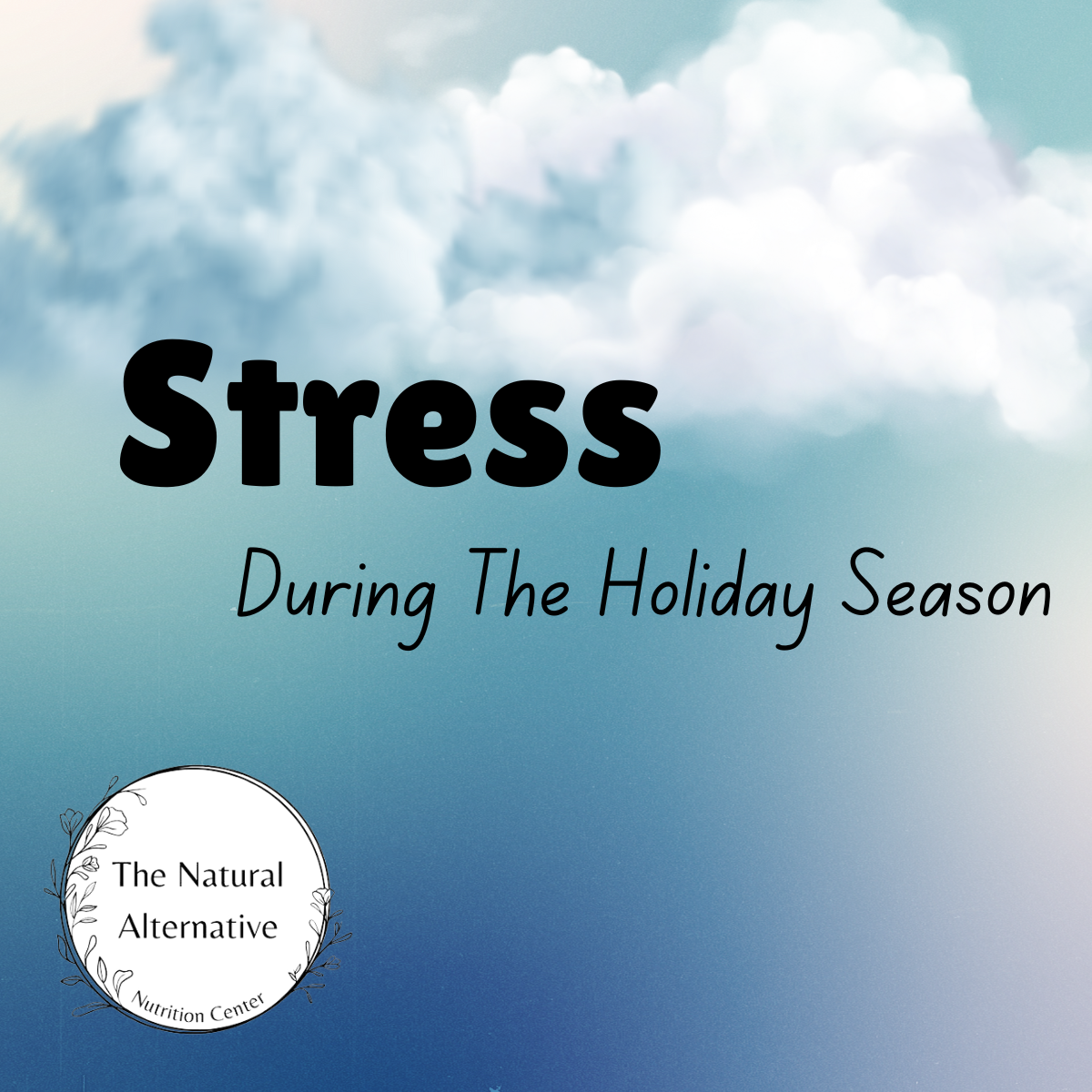 ENZYMEDICA® SALE! Stress During The Holiday Season