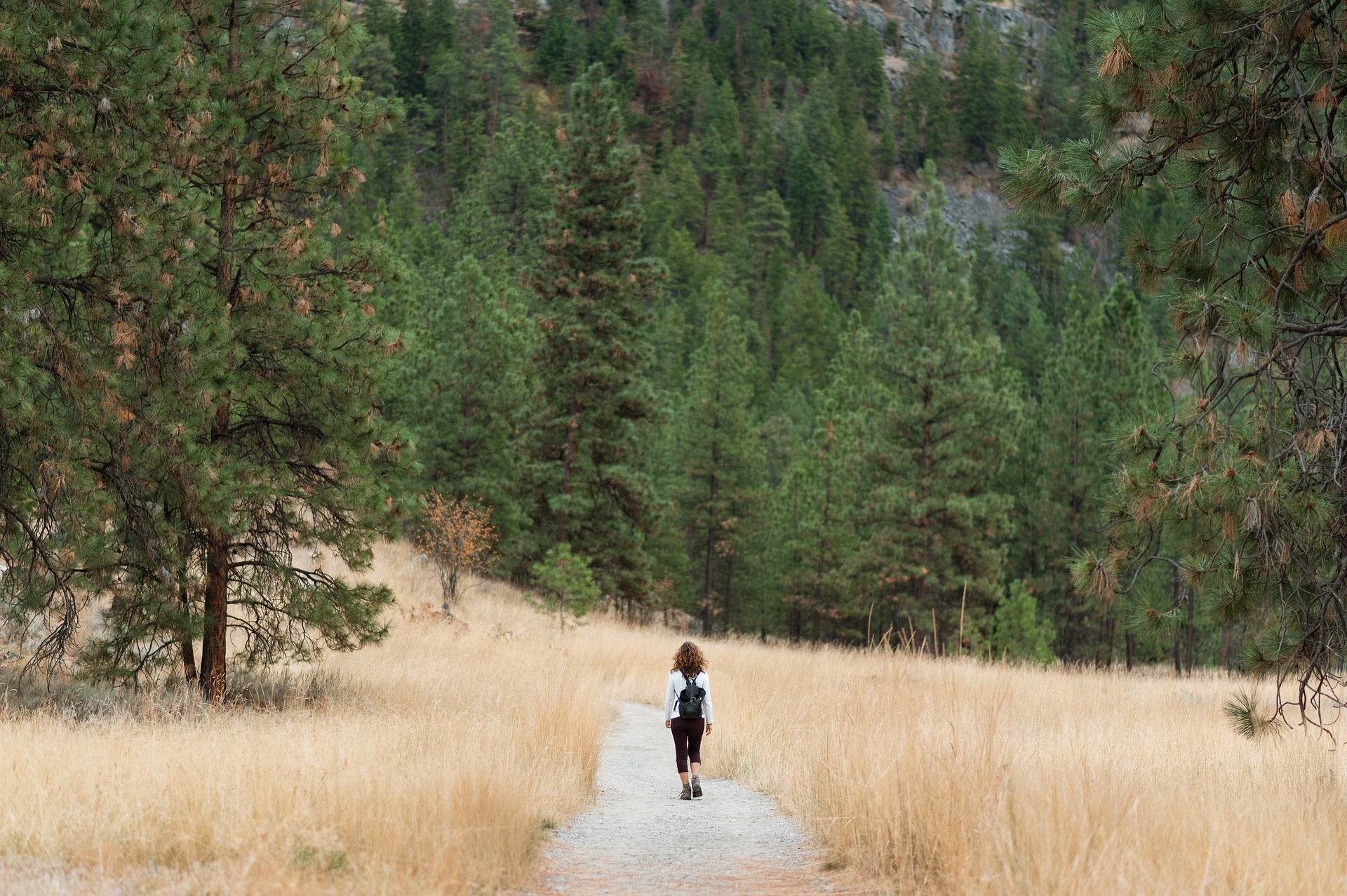 Embrace the Great Outdoors: The Transformative Power of Physical Activity in Nature