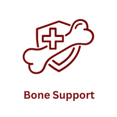 Collection image for: Bone Support