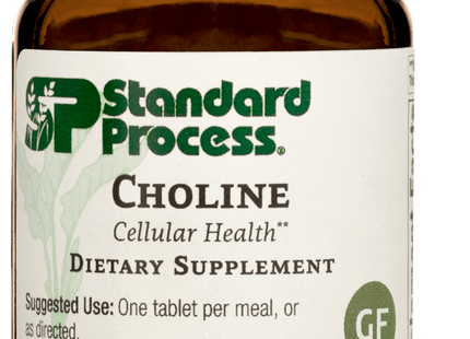 Choline, 90 Tablets