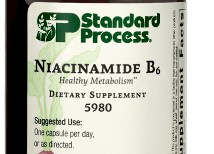 Niacinamide B6, 90 Capsules