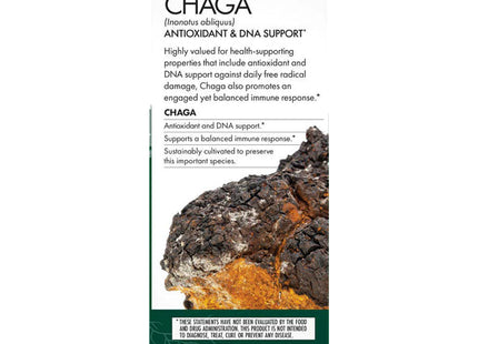 Chaga Capsules