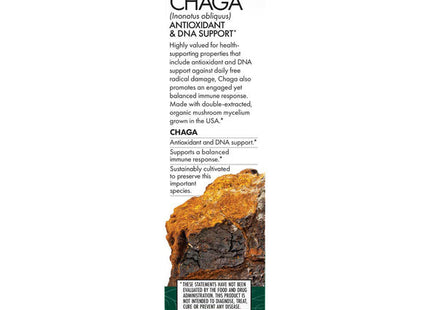 Chaga Extract