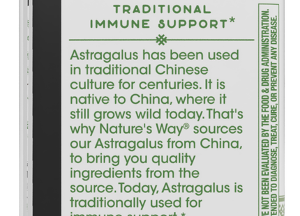 Astragalus Root