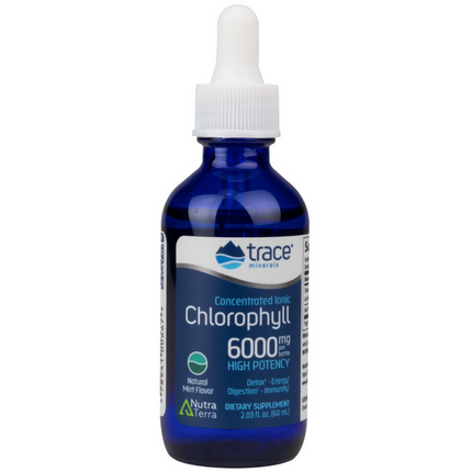 Concentrated Ionic Chlorophyll - 6,000 mg - Mint