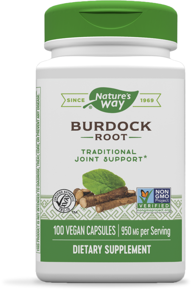 Burdock Root