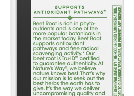 Beet Root