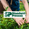 standard process on sale at the natural alternative nutrition center