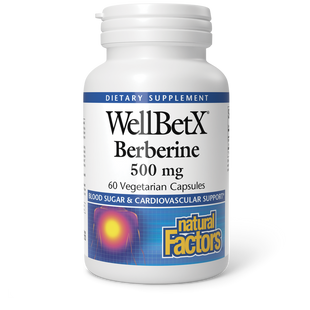 WellBetX® Berberine 500 mg