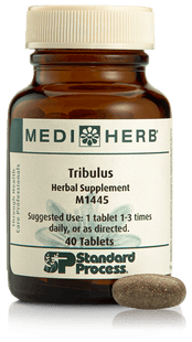 Tribulus, 40 Tablets